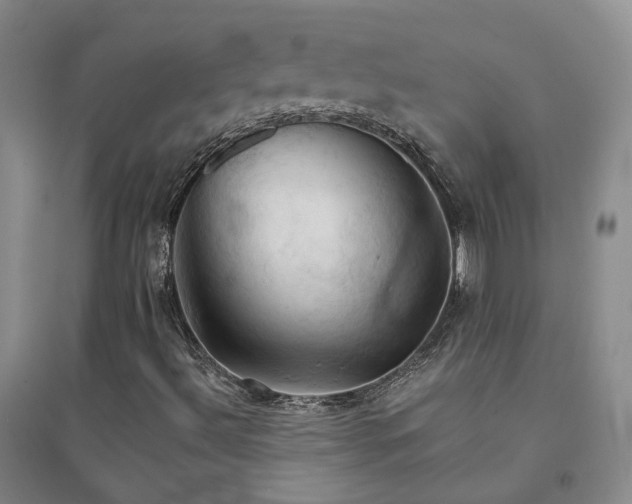 X0000094451492200711151415