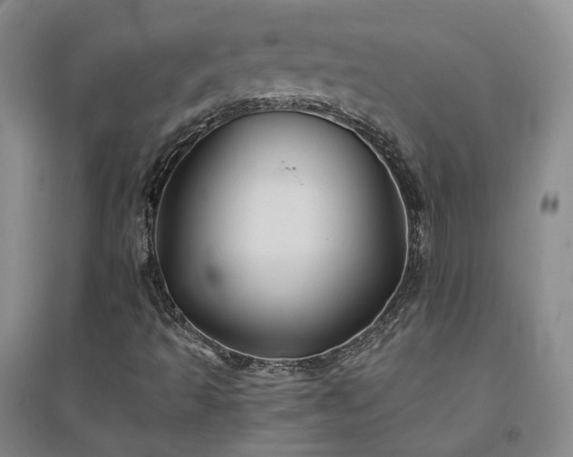 X0000094451493200711151415