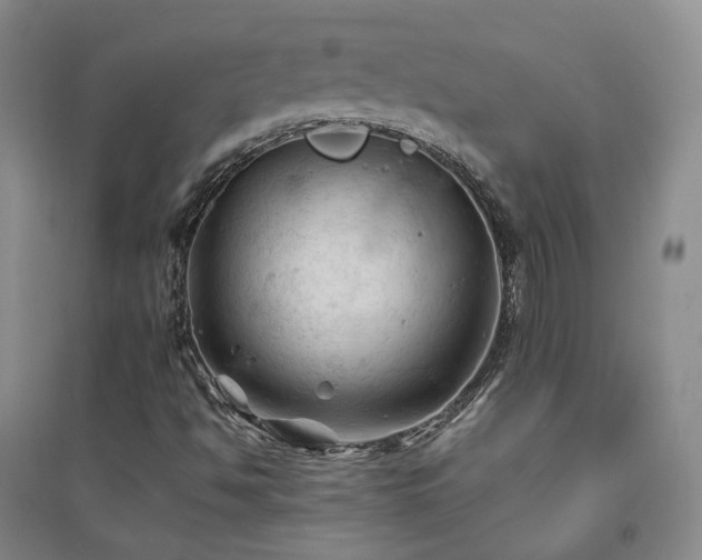 X0000094451494200711151415