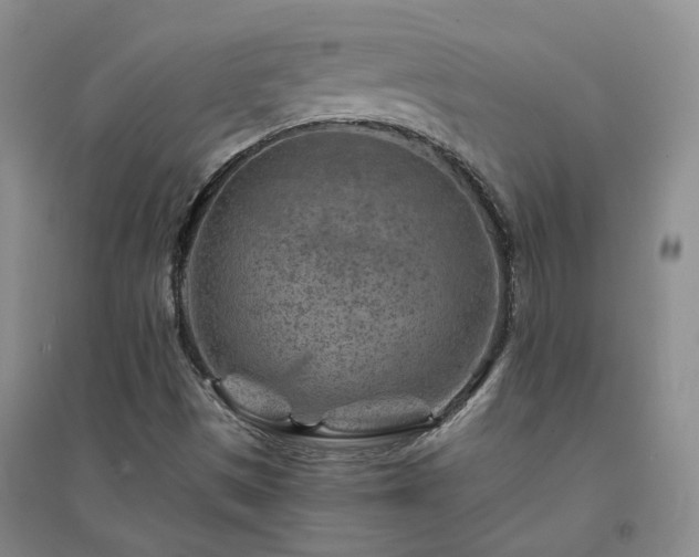 X0000094451497200711151415