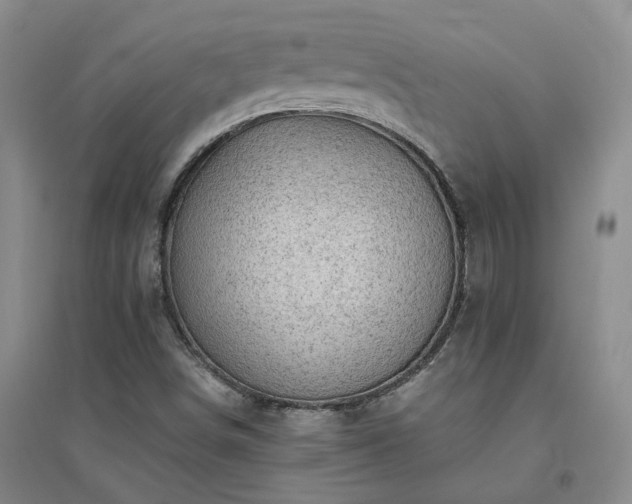 X0000094451498200711151415
