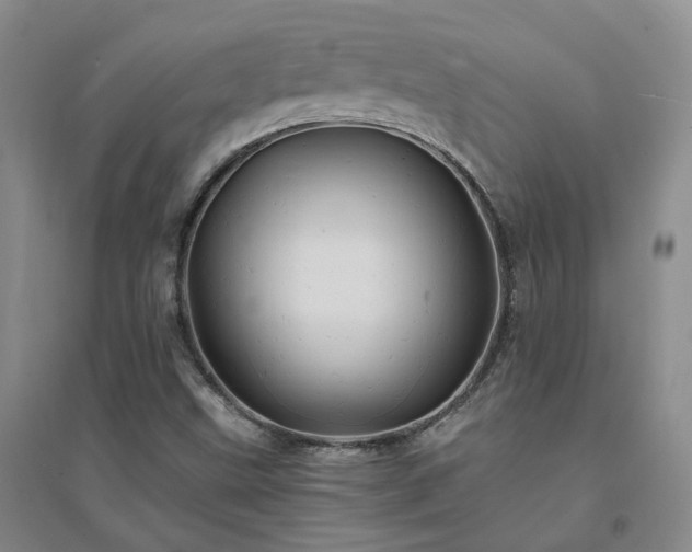 X0000094451499200711151415