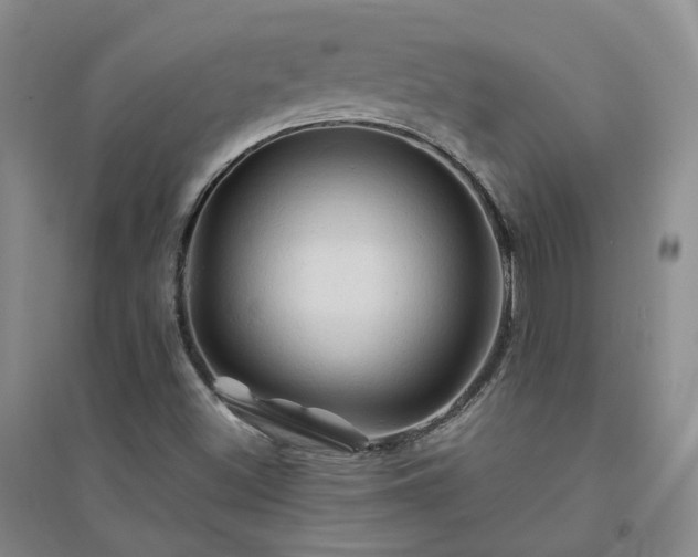 X0000094451500200711151415
