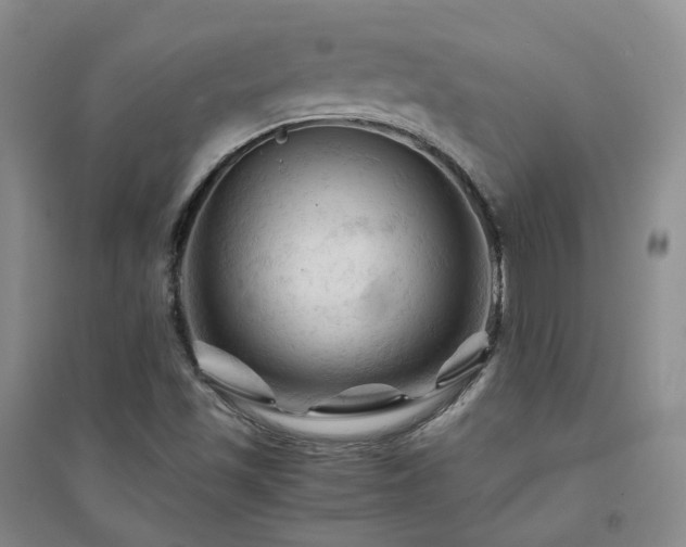 X0000094451501200711151415