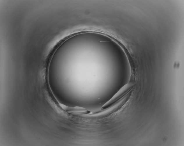 X0000094451503200711151415