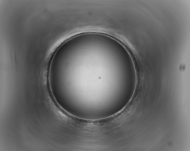 X0000094451504200711151415