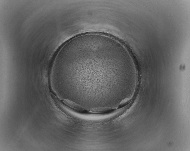 X0000094451505200711151415