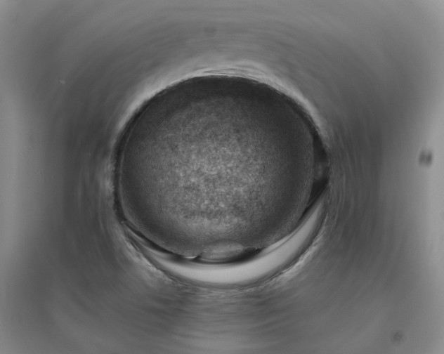 X0000094451506200711151415