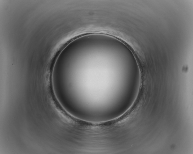 X0000094451507200711151415