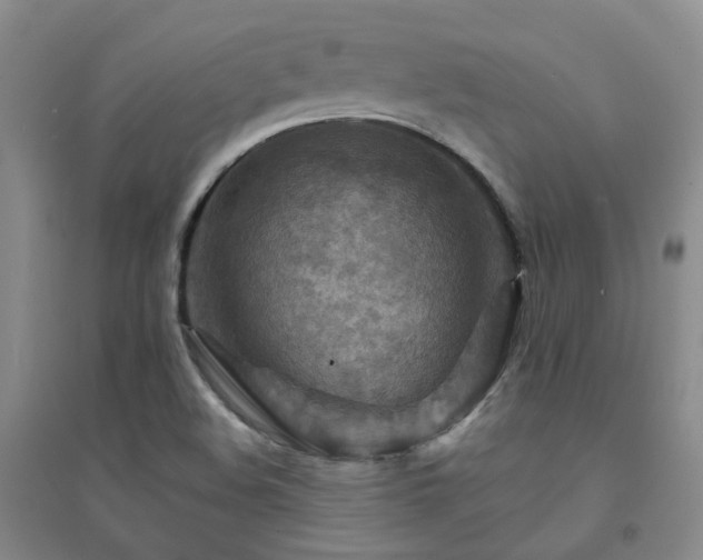 X0000094451508200711151415