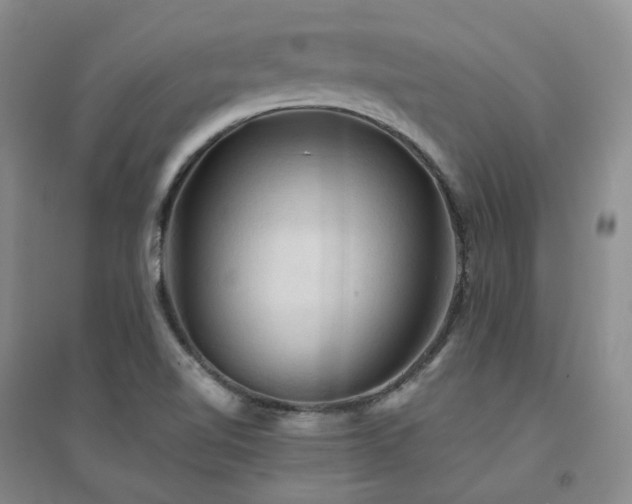 X0000094451510200711151415
