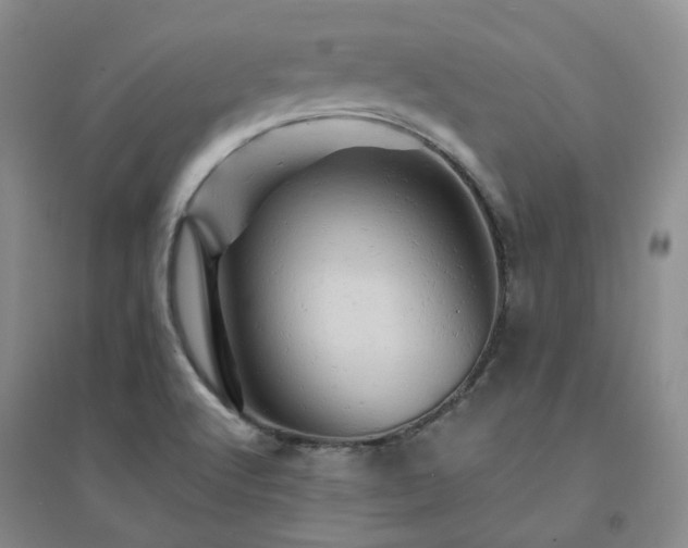 X0000094451512200711151415
