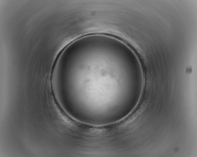 X0000094451513200711151415