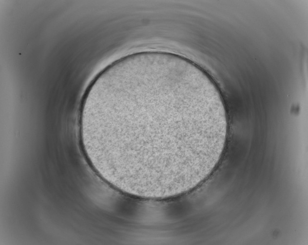 X0000094451514200711151415