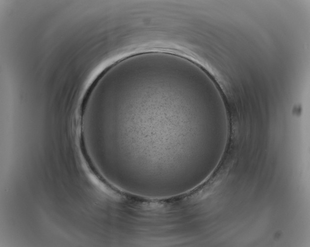 X0000094451515200711151415