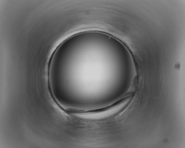 X0000094451516200711151415