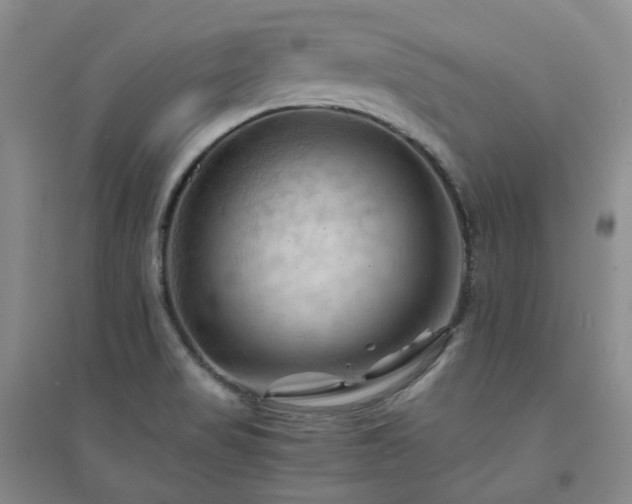 X0000094451517200711151415