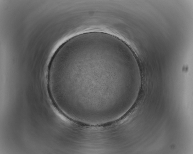 X0000094451519200711151415