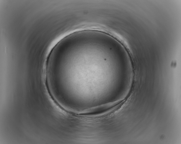 X0000094451520200711151415