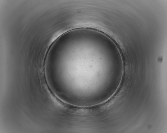 X0000094451521200711151415