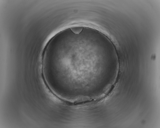 X0000094451522200711151415