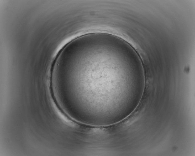 X0000094451523200711151416