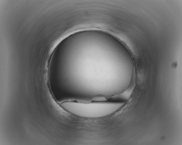 X0000094451524200711151416