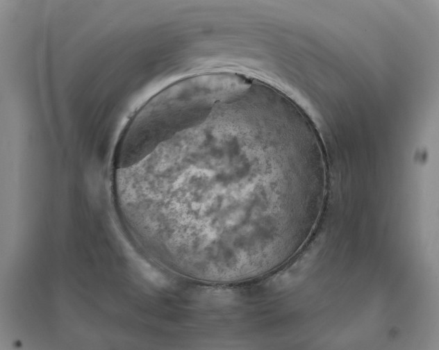 X0000094451525200711151416