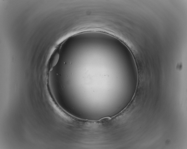 X0000094451526200711151416