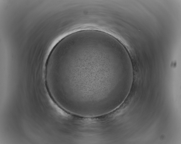 X0000094451527200711151416