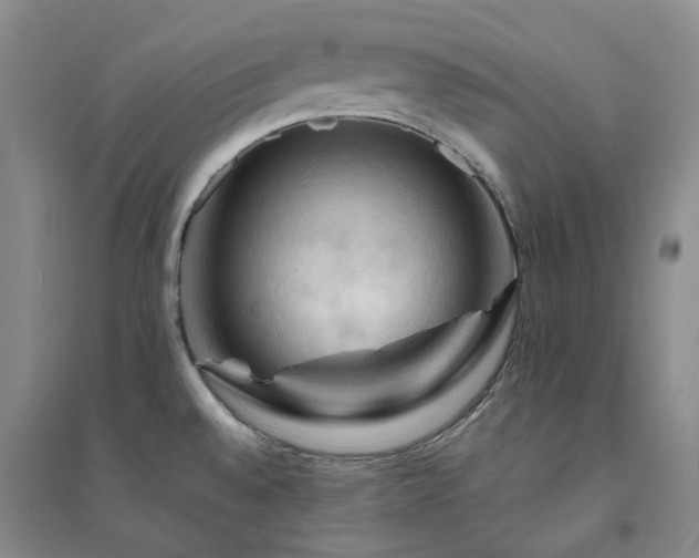 X0000094451528200711151416