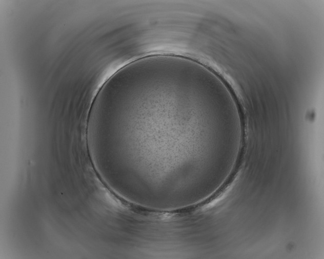 X0000094451529200711151416