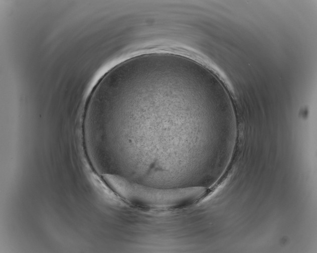 X0000094451530200711151416