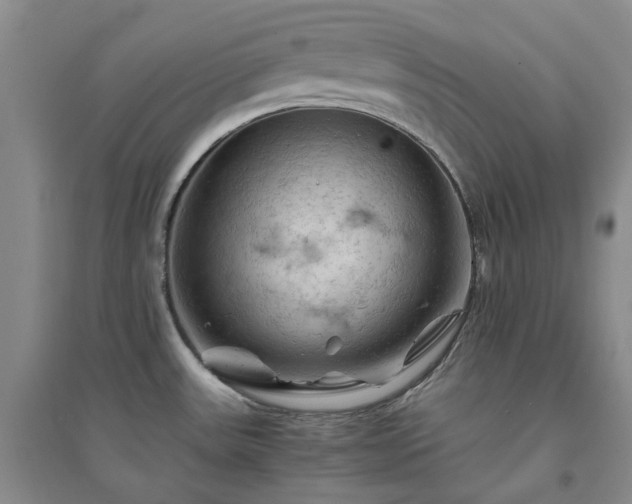 X0000094451531200711151416