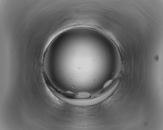 X0000094451532200711151416