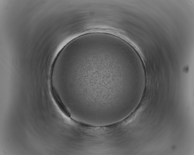 X0000094451533200711151416