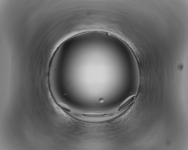 X0000094451534200711151416