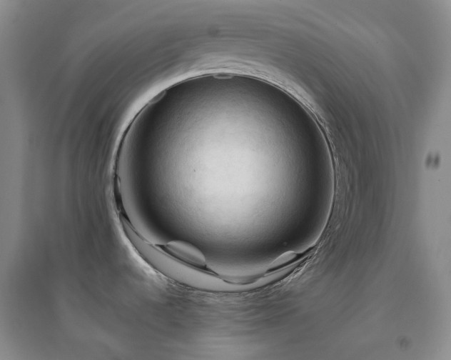 X0000094451536200711151416