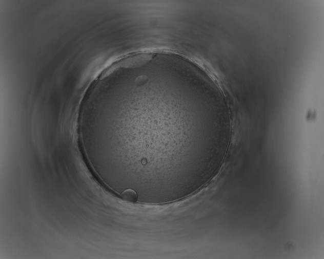 X0000094450002200711211529