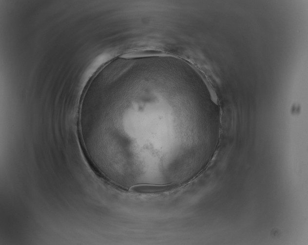 X0000094450003200711211529