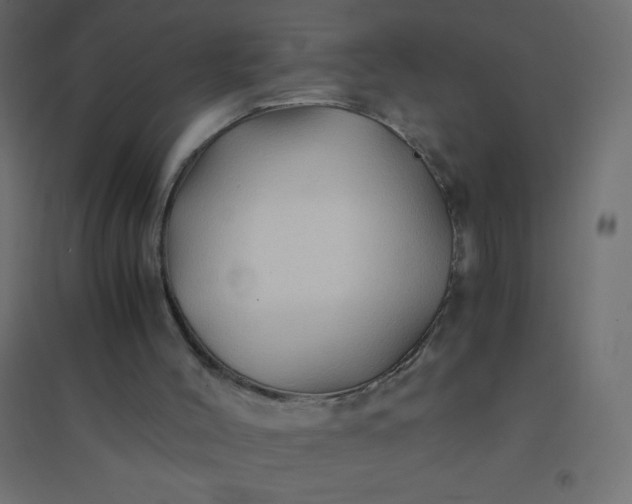 X0000094450004200711211529