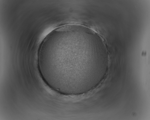 X0000094450005200711211529