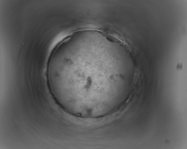 X0000094450006200711211529