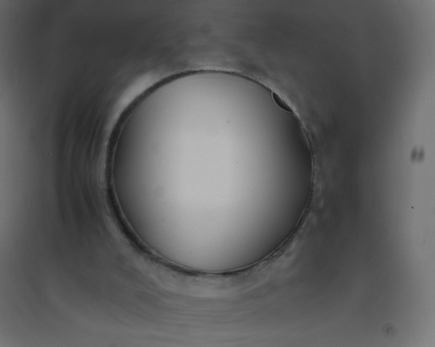 X0000094450008200711211528