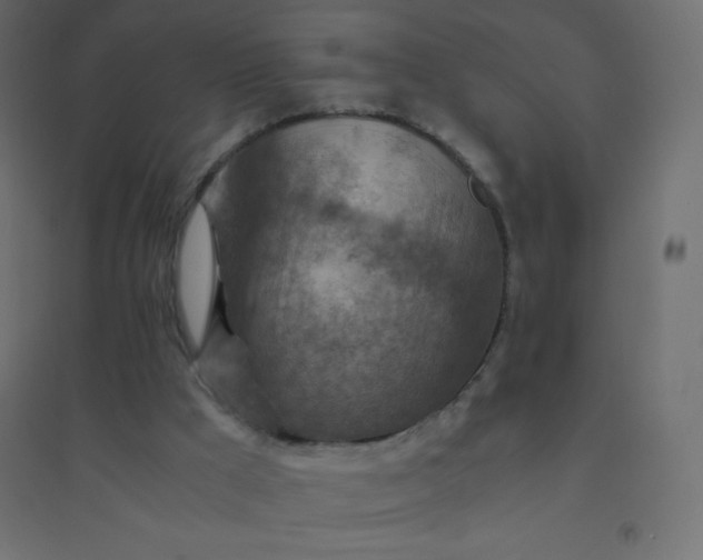 X0000094450009200711211528