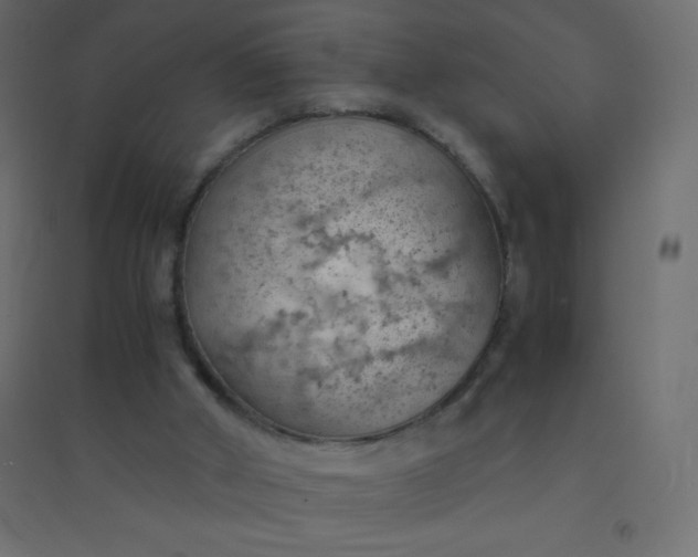 X0000094450010200711211528