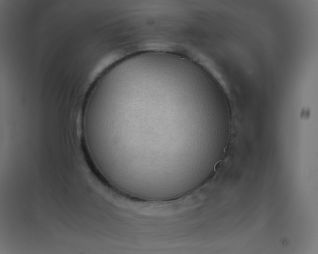 X0000094450011200711211528