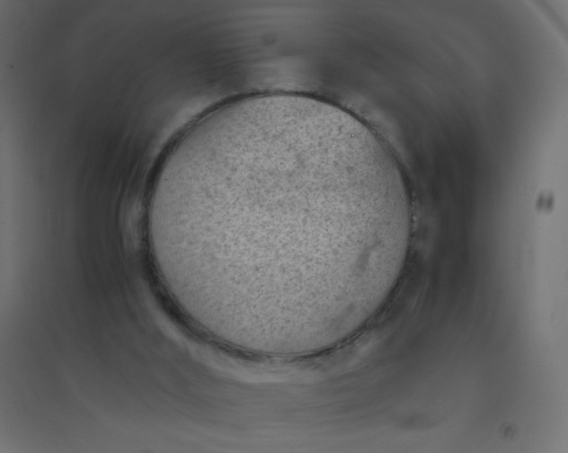 X0000094450012200711211528