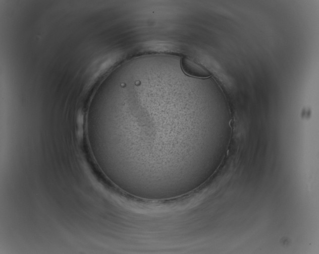 X0000094450014200711211528