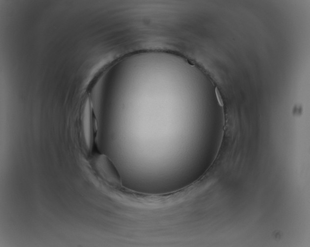 X0000094450015200711211528